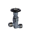 GB/T1241-2008 External thread forged steel stop check valve